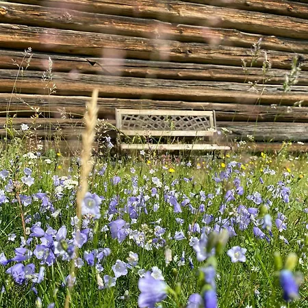 Log With Sauna On Historic Family Farm Apartament *